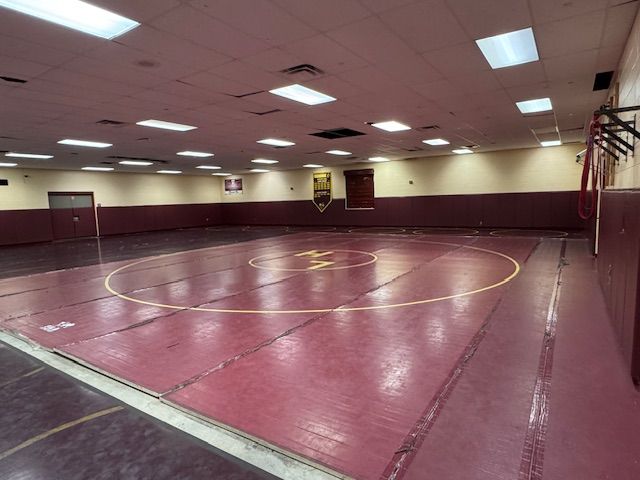 MS Wrestling 2